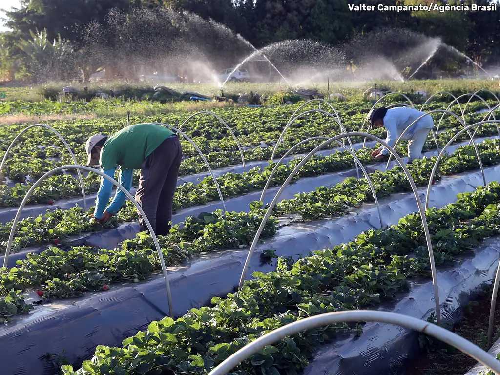 Trabalhadores impactados pelas mudanças climáticas são contemplados em edital milionário