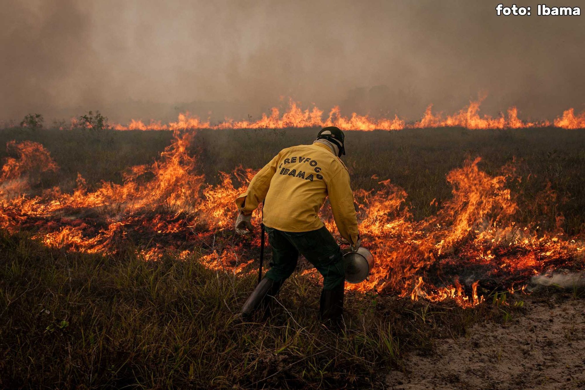 Recorde de queimadas na Amazônia afeta 107 milhões de brasileiros