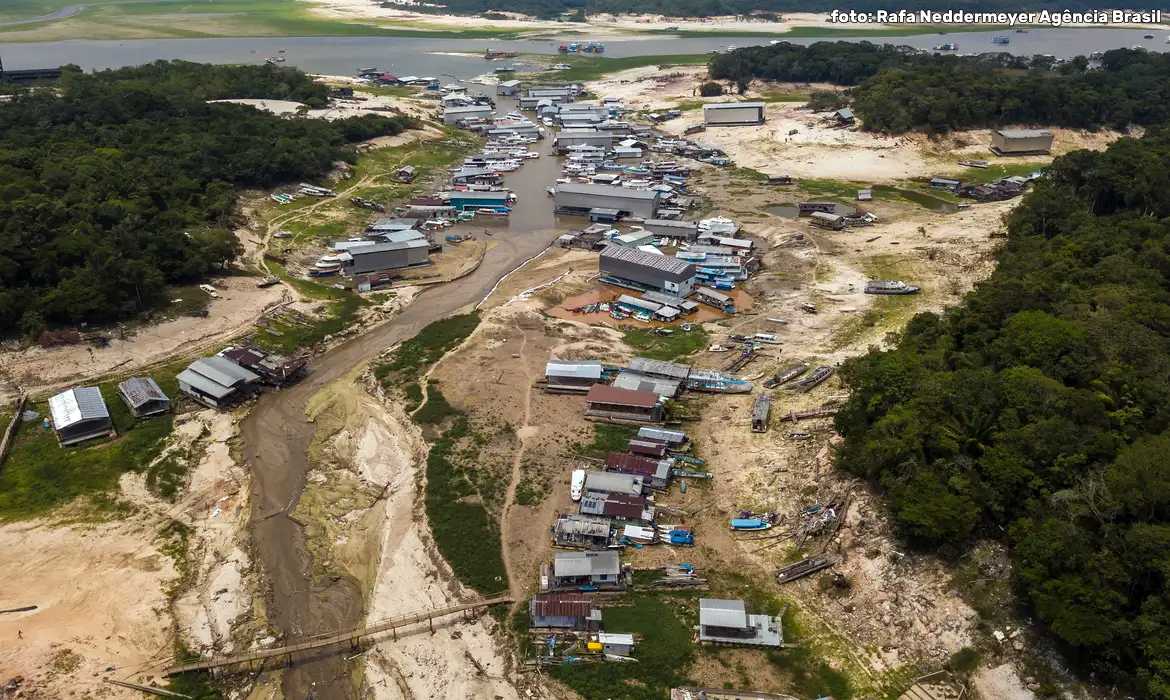 Dia da Amazônia: agravamento da emergência socioambiental eleva a preocupação com o futuro da floresta